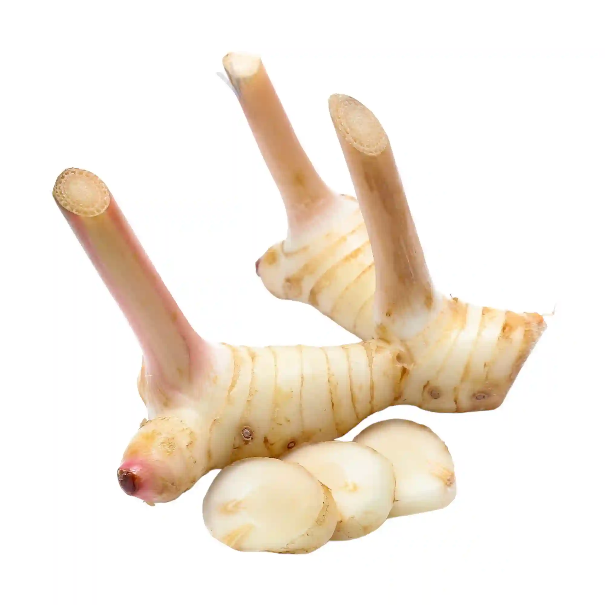 Galangal Thailand