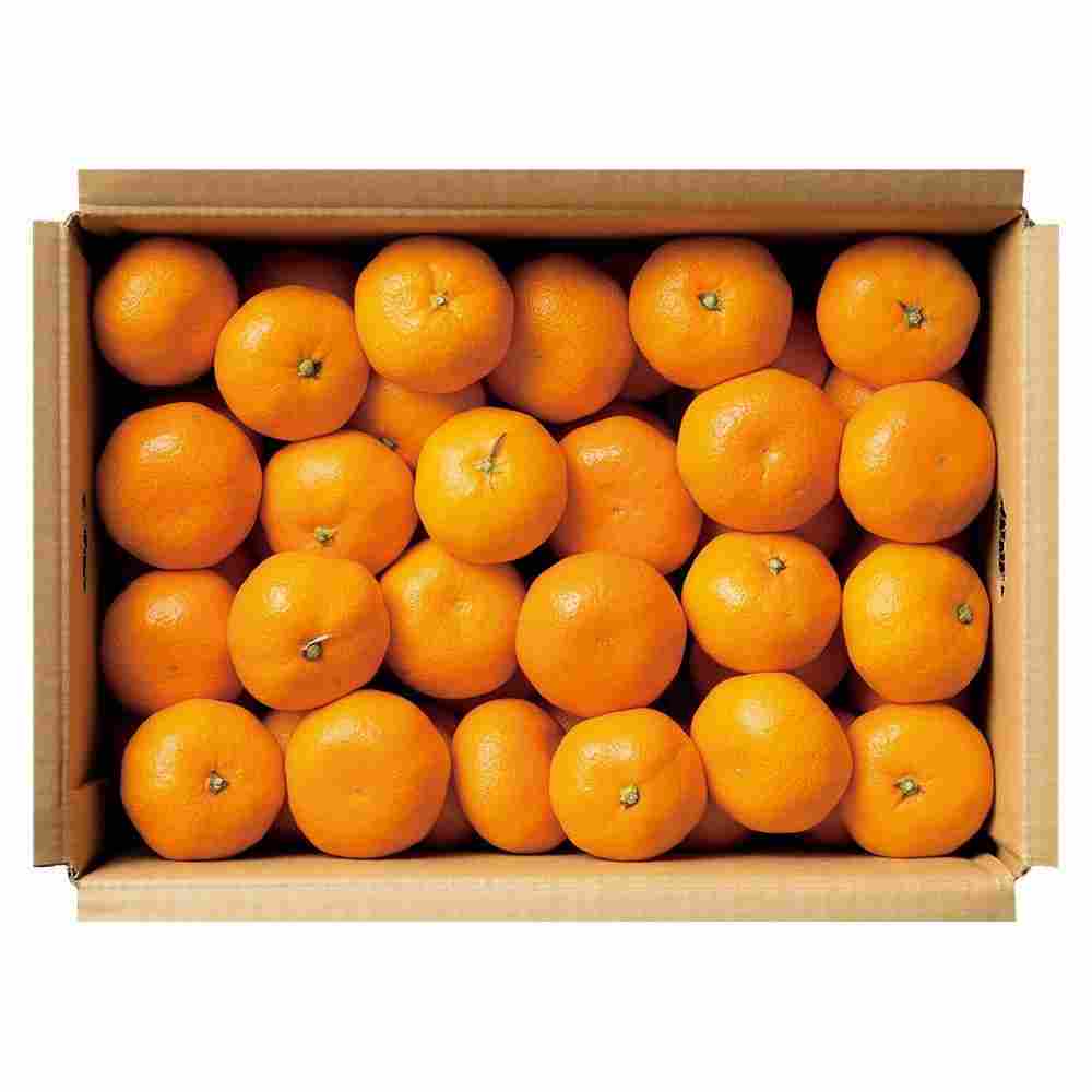 Clementines in a Box Spain