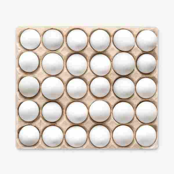 Fresh White Chicken Eggs Turkey