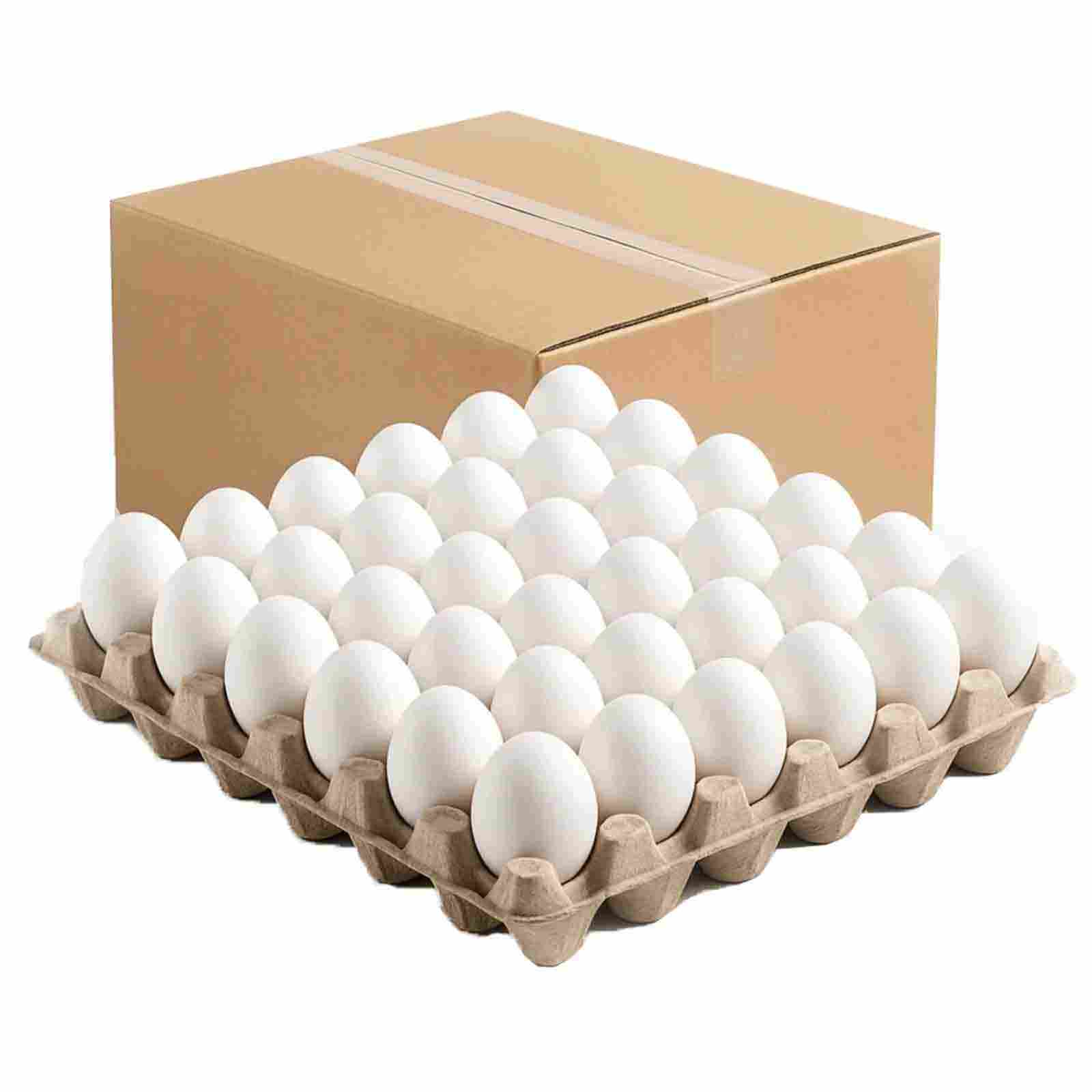 White Chicken Egg Tray Box