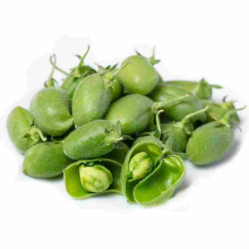 Green Chickpeas Lebanon