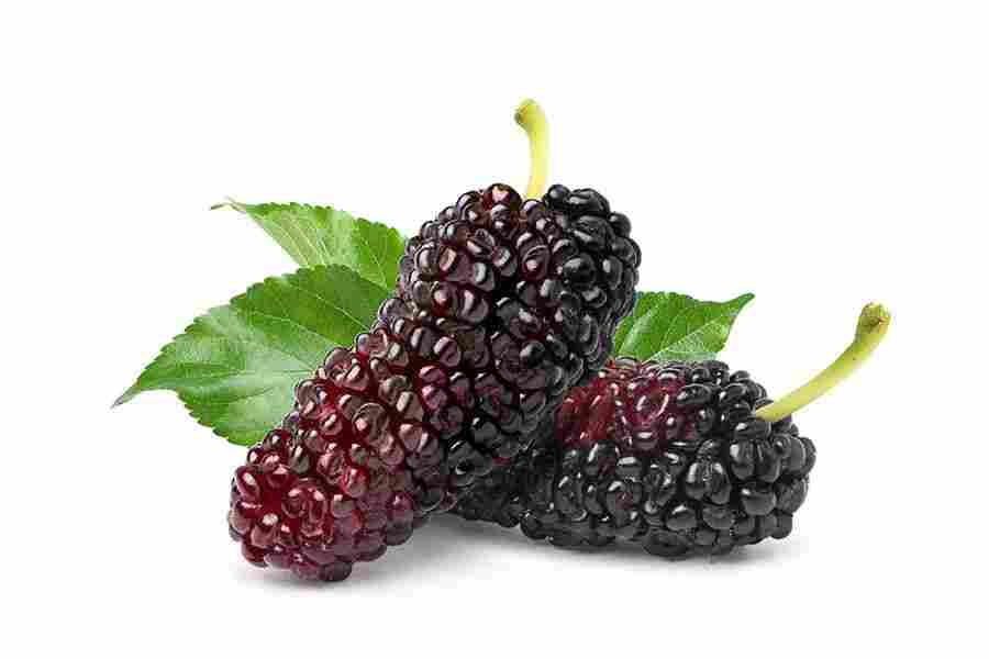 Mulberries Red