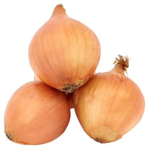 Organic Onion Brown Bag Egypt