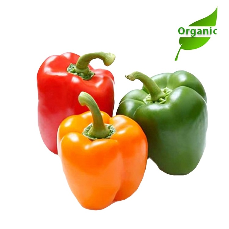 Isis Organic Mixed Capsicum