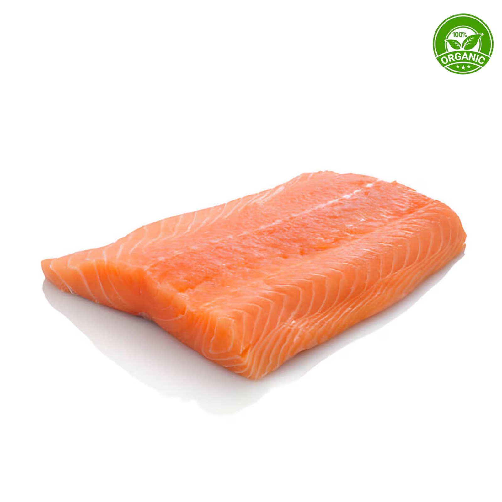 Fresh Organic Salmon Fillet