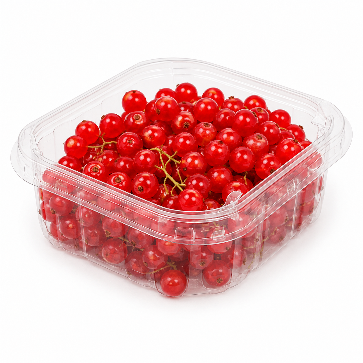 Red Currants Netherland - Bag of Green