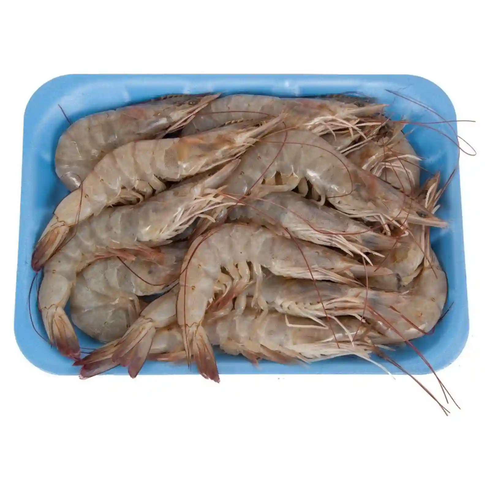 Fresh Shrimps Medium