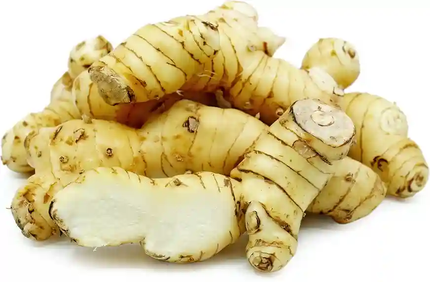 Roots Galangal Root