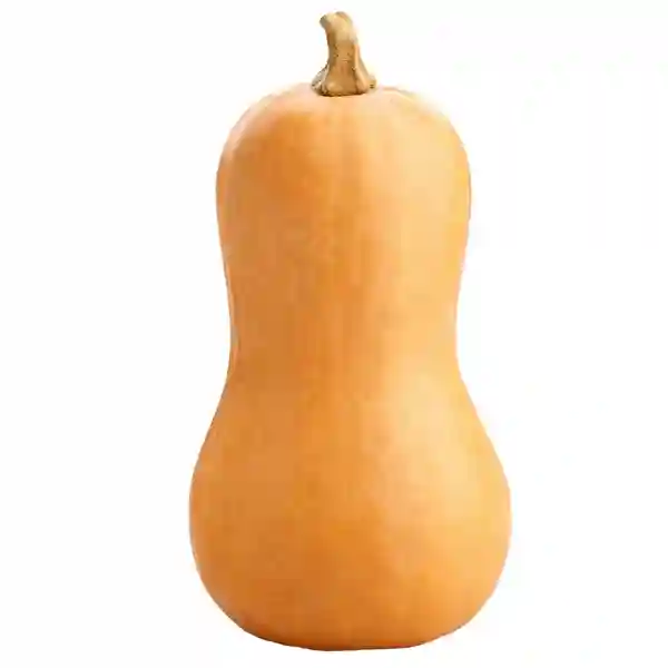 Organic Butternut Squash Spain - Bag of Green
