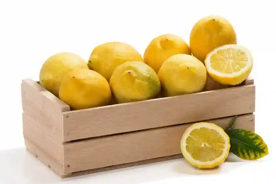 Lemons Turkey in a Box