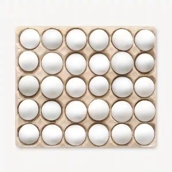 Fresh White Chicken Eggs Turkey