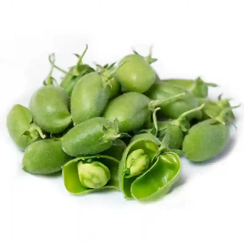 Green Chickpeas Lebanon