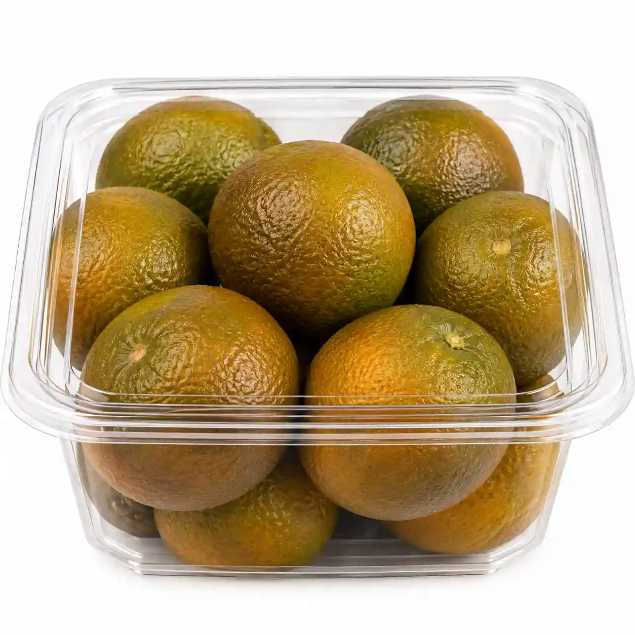BOG- Chocolate Orange Fresh