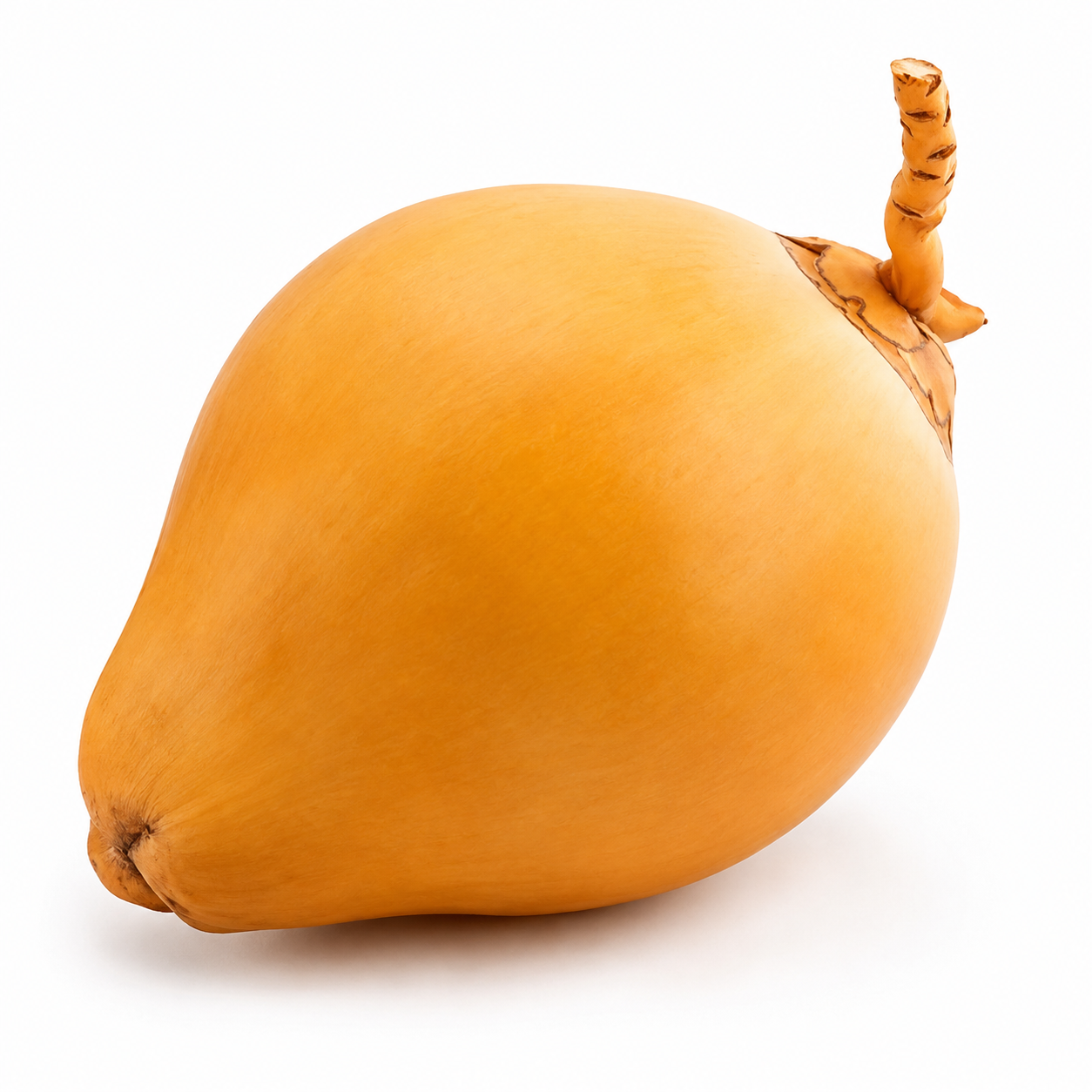 Tender Coconut - Bag of Green