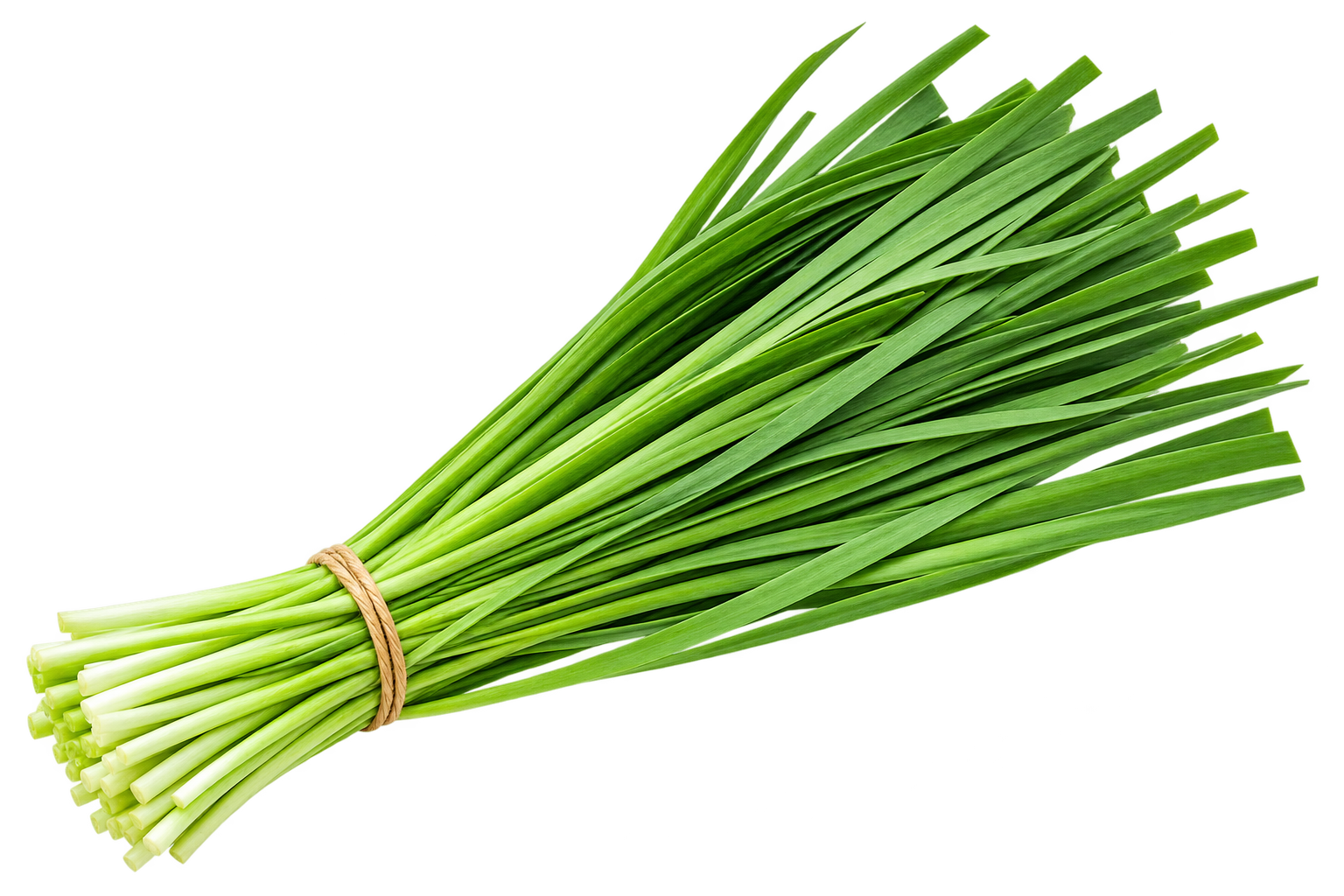 Fresh Chives - Bag of Green