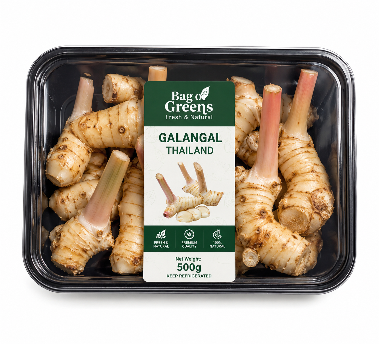 Galangal Thailand - Bag of Green