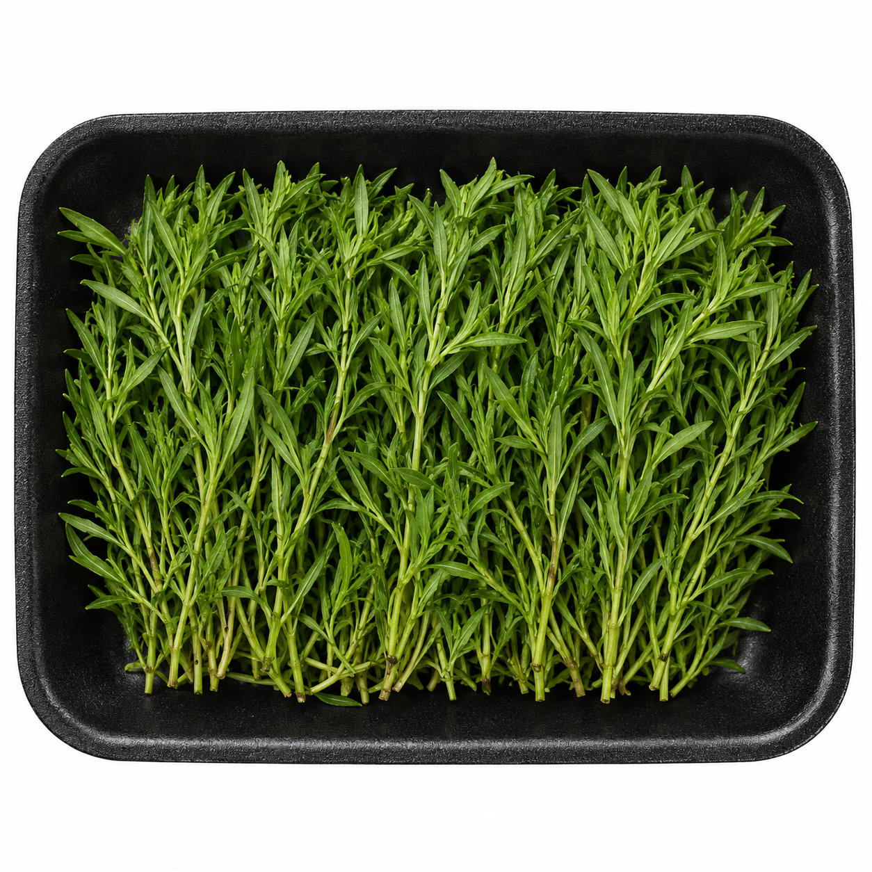 Fresh Zaatar - Bag of Green