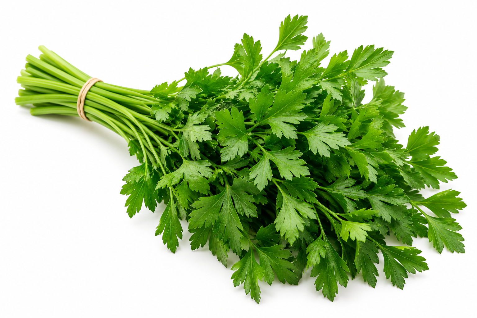 Fresh Parsely - Bag of Green