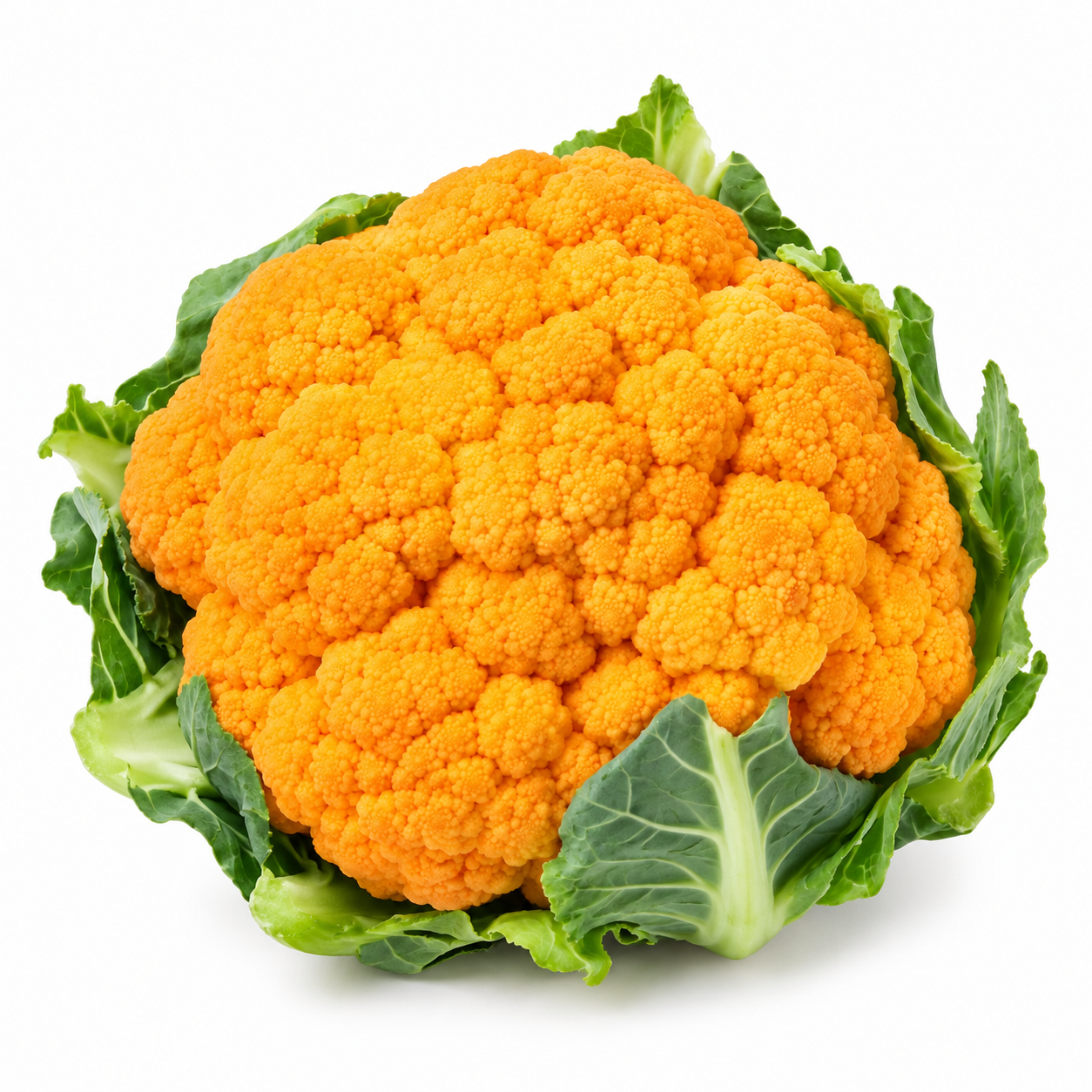 Cauliflower Orange - Bag of Green