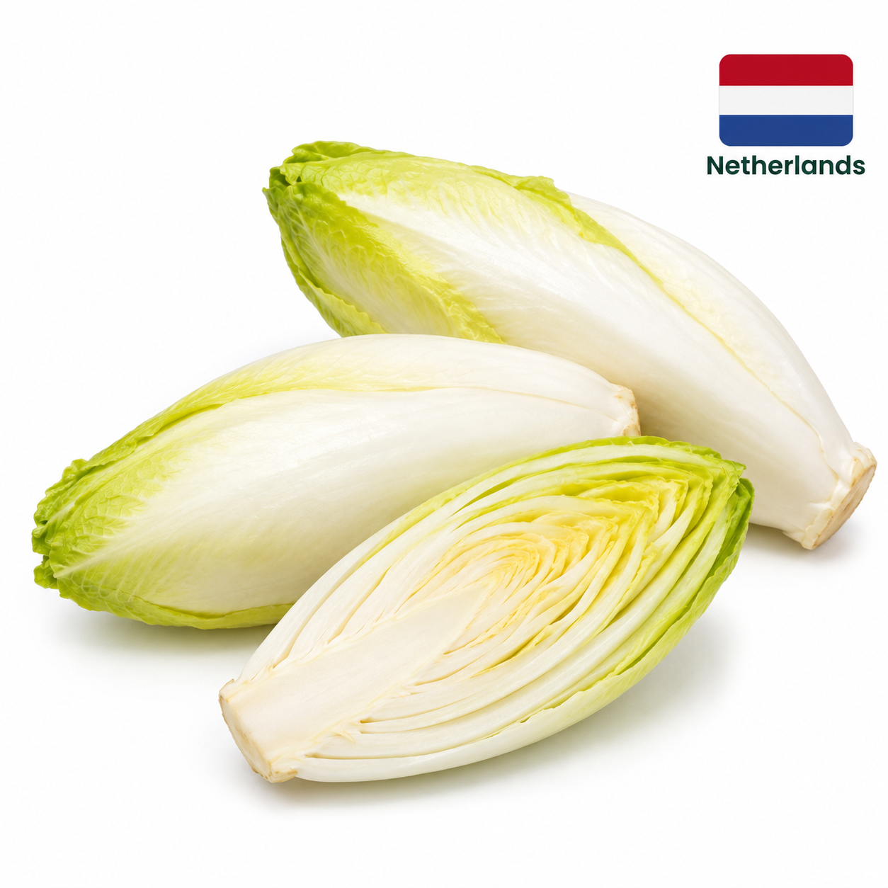 White Chicory - Bag of Green