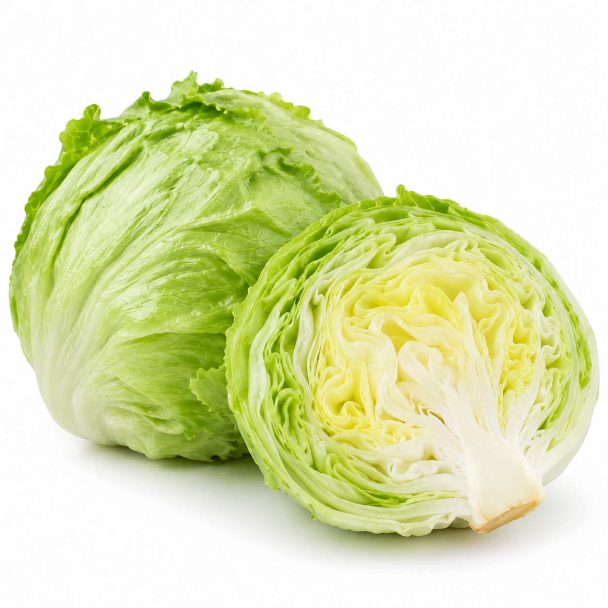 Iceberg Lettuce - Bag of Green