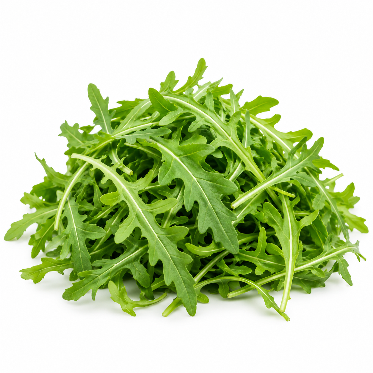 Rocket Leaves - Bag of Green