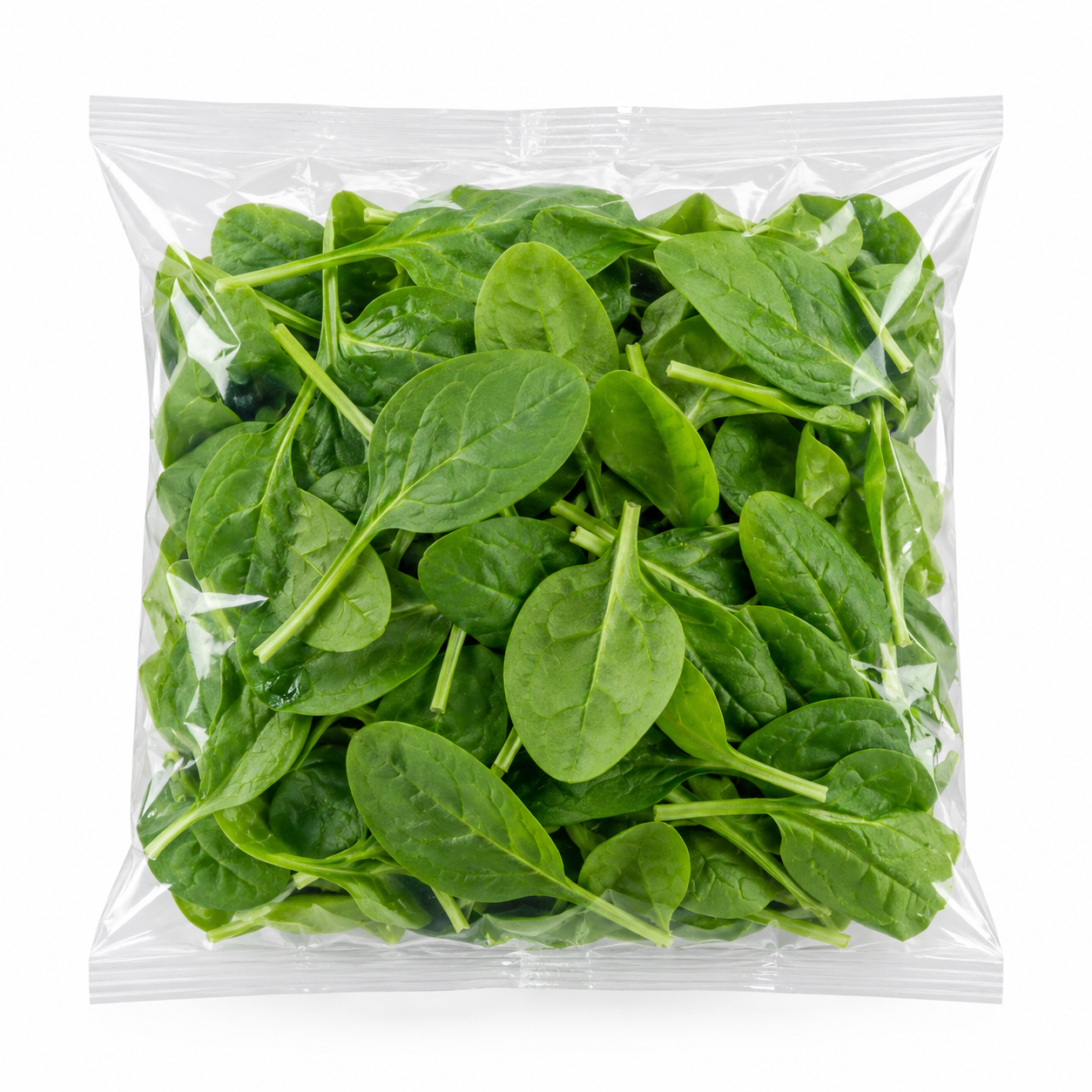 Baby Spinach