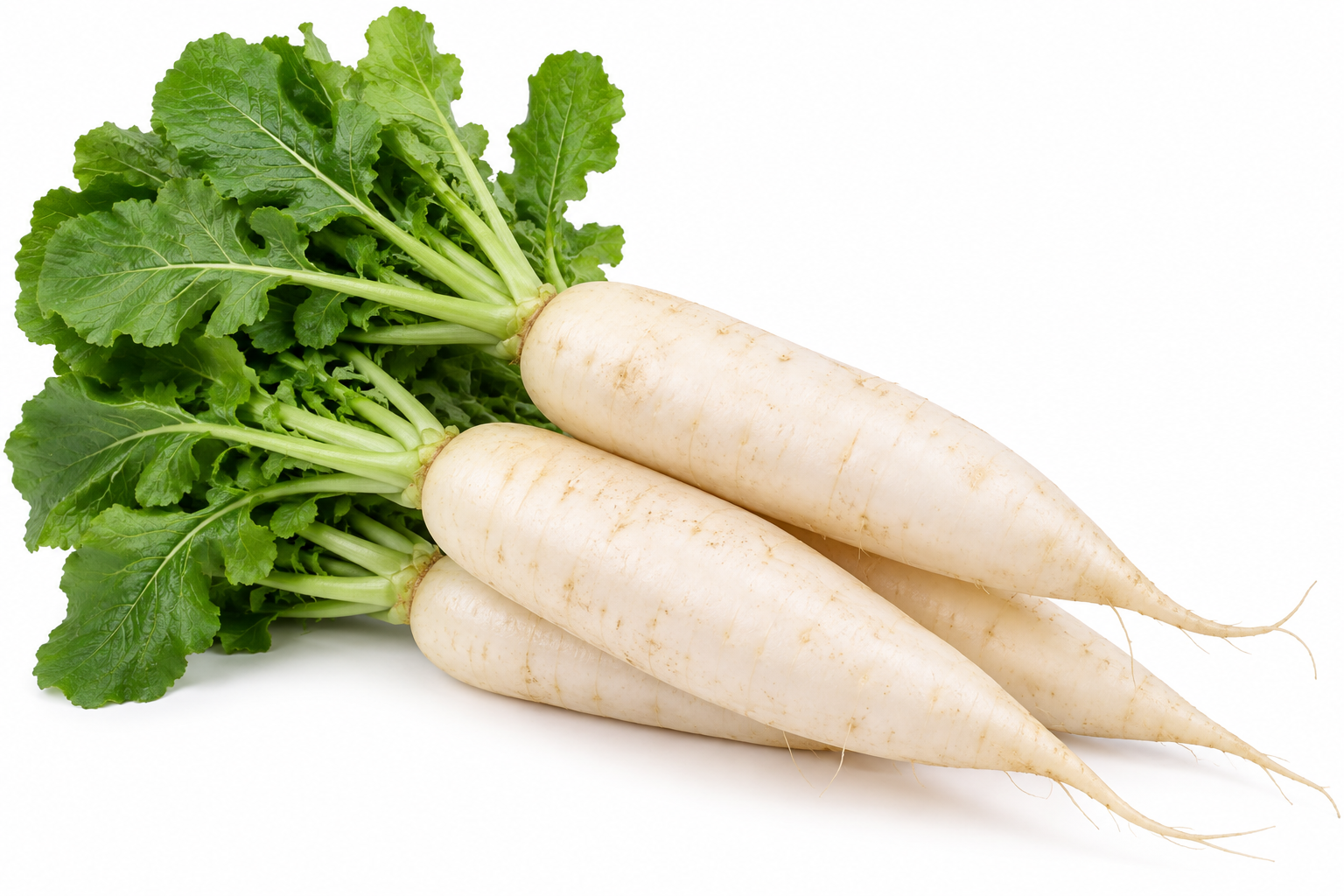 white radish - Bag of Green