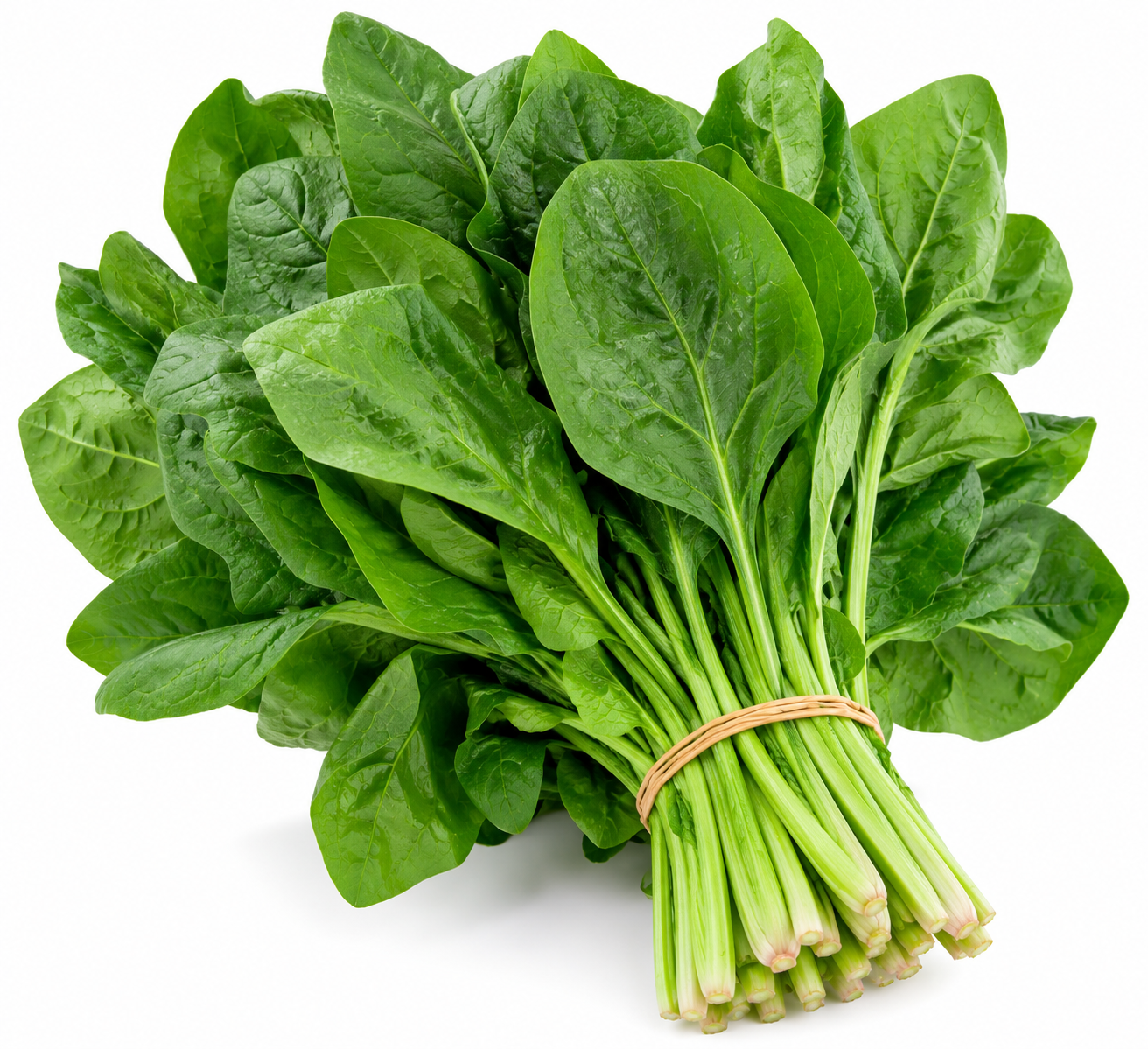Fresh Spinach
