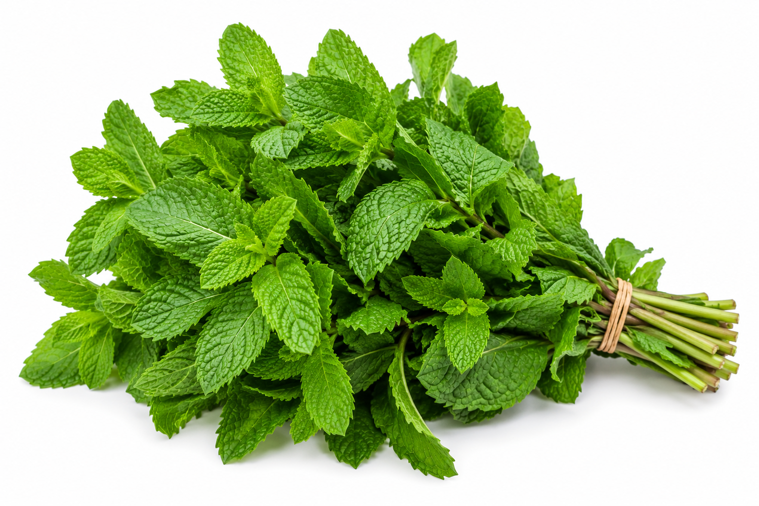 Mint Leaves - Bag of Green