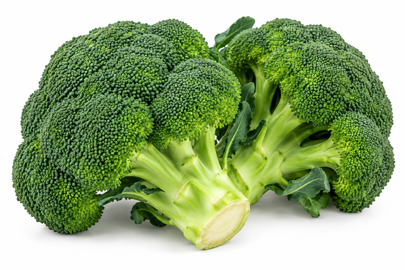 Organic Broccoli UAE