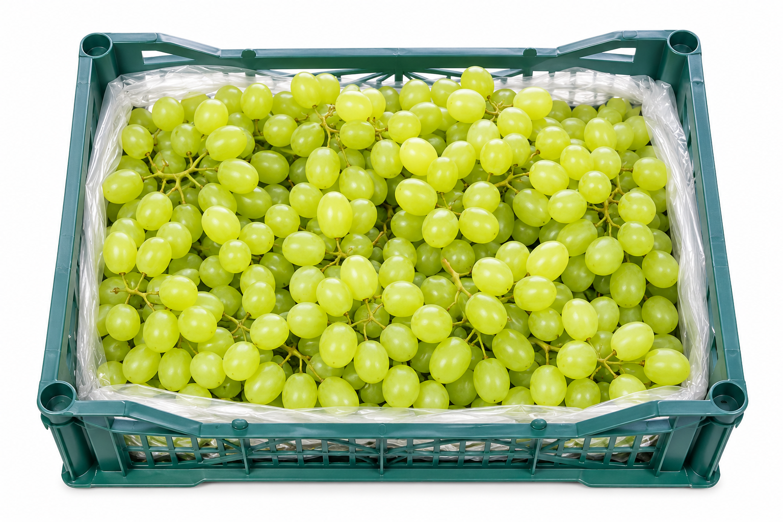 Grapes White Seedless