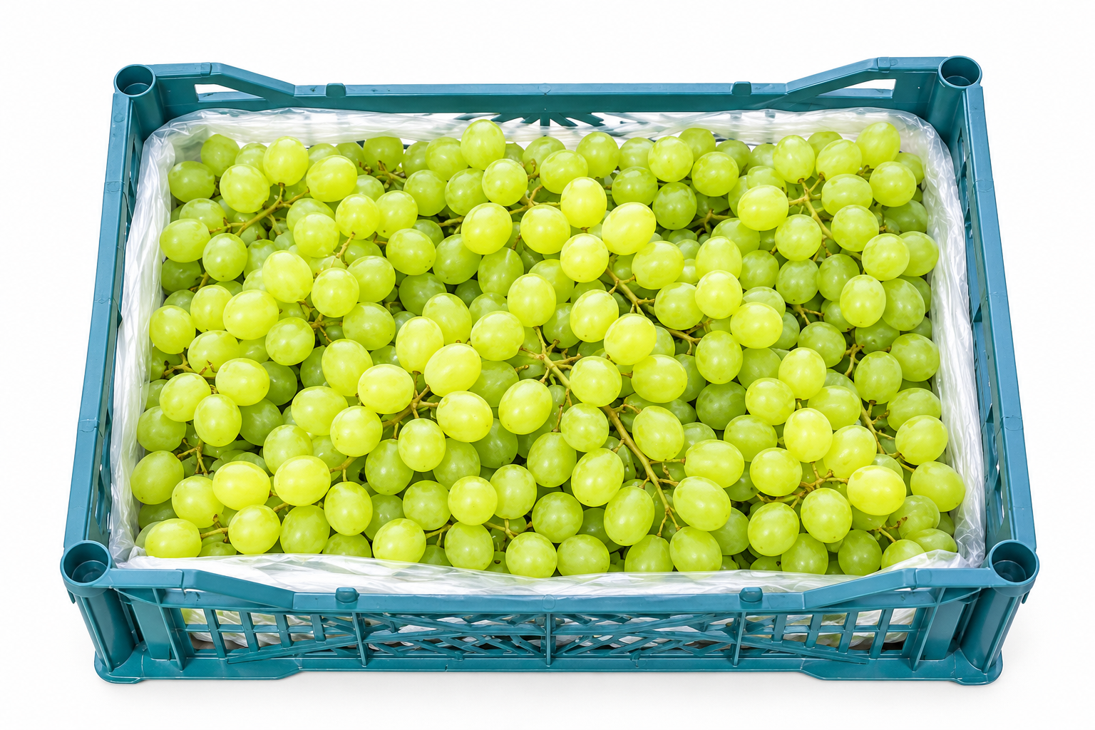 Grapes White Seedless