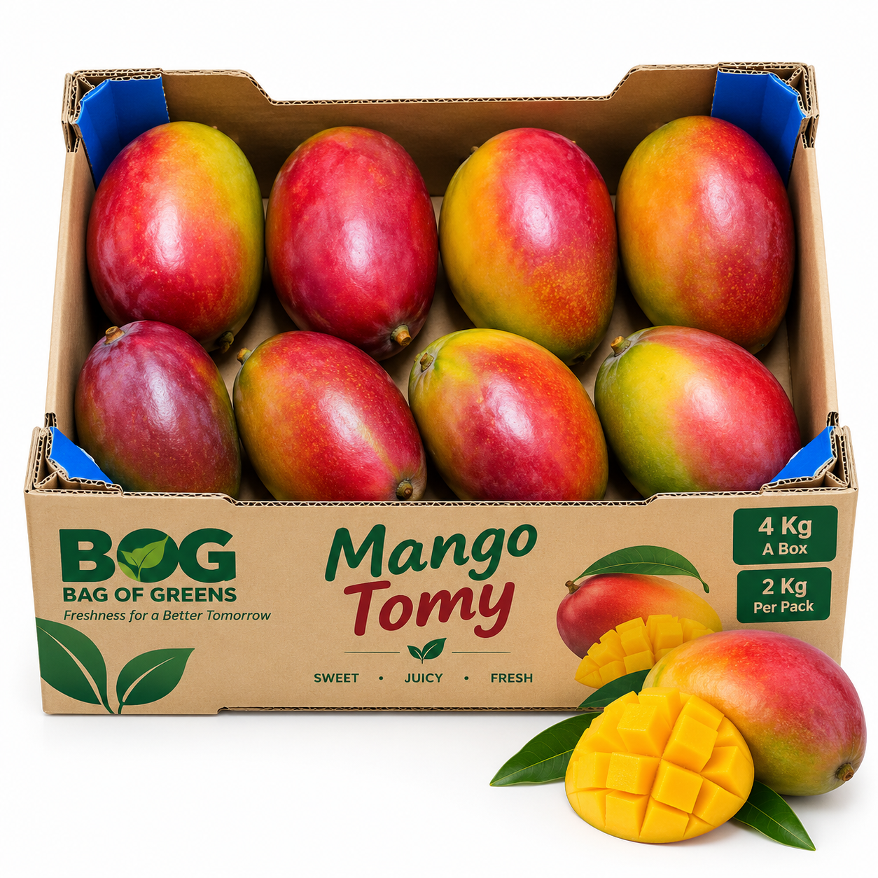 Mango Tomy