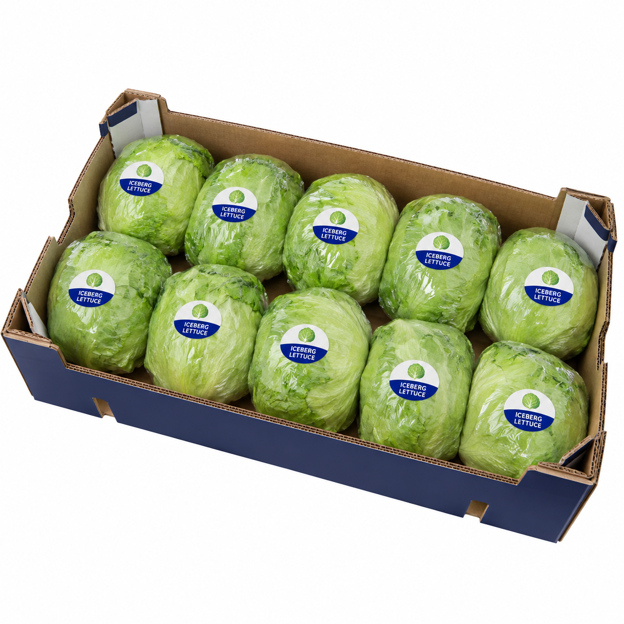 Iceberg Lettuce - Bag of Green