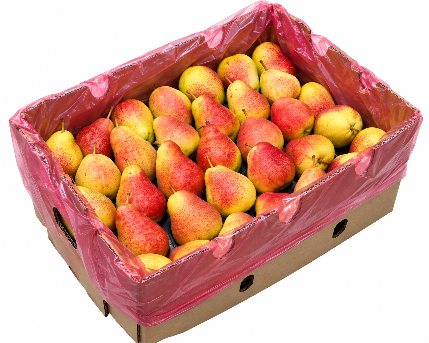 Forelle Pears