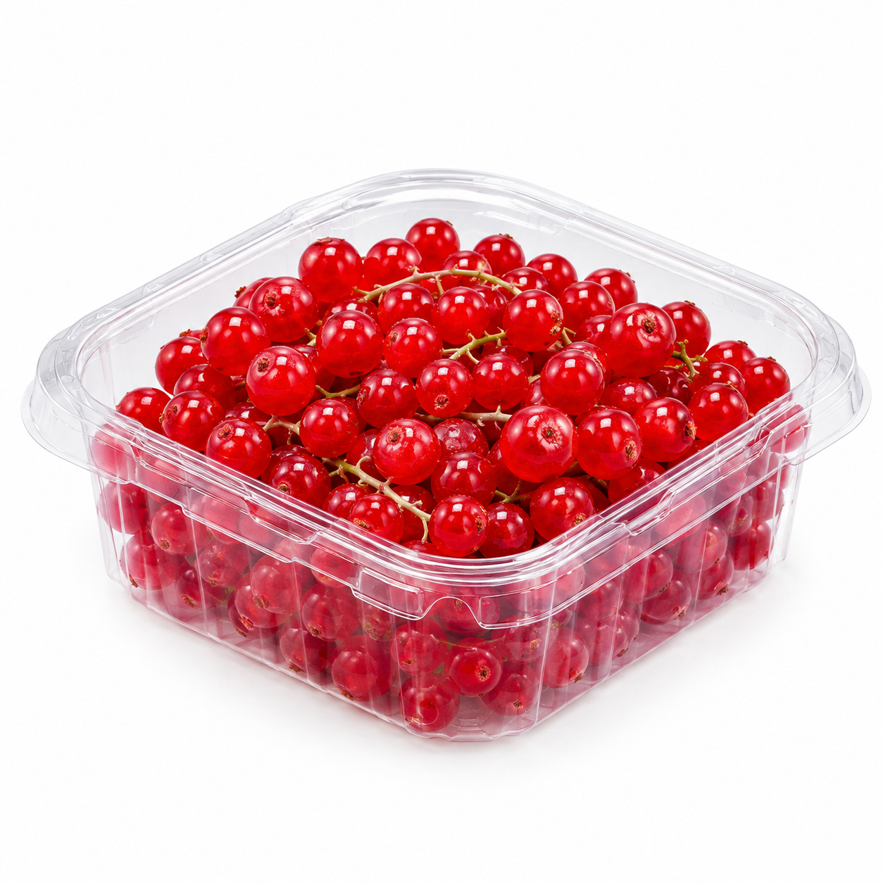Red Currants Netherland