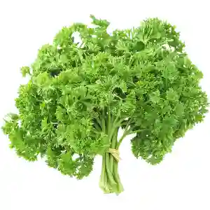 Organic Fresh Parsley Leaves Local