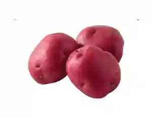 Organic Potatoes Red Portugal