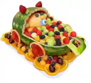 Creative Watermelon Animal Theme Platter