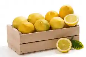 Lemons Turkey in a Box