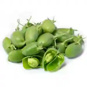 Green Chickpeas Lebanon