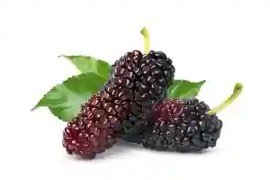 Mulberries Red
