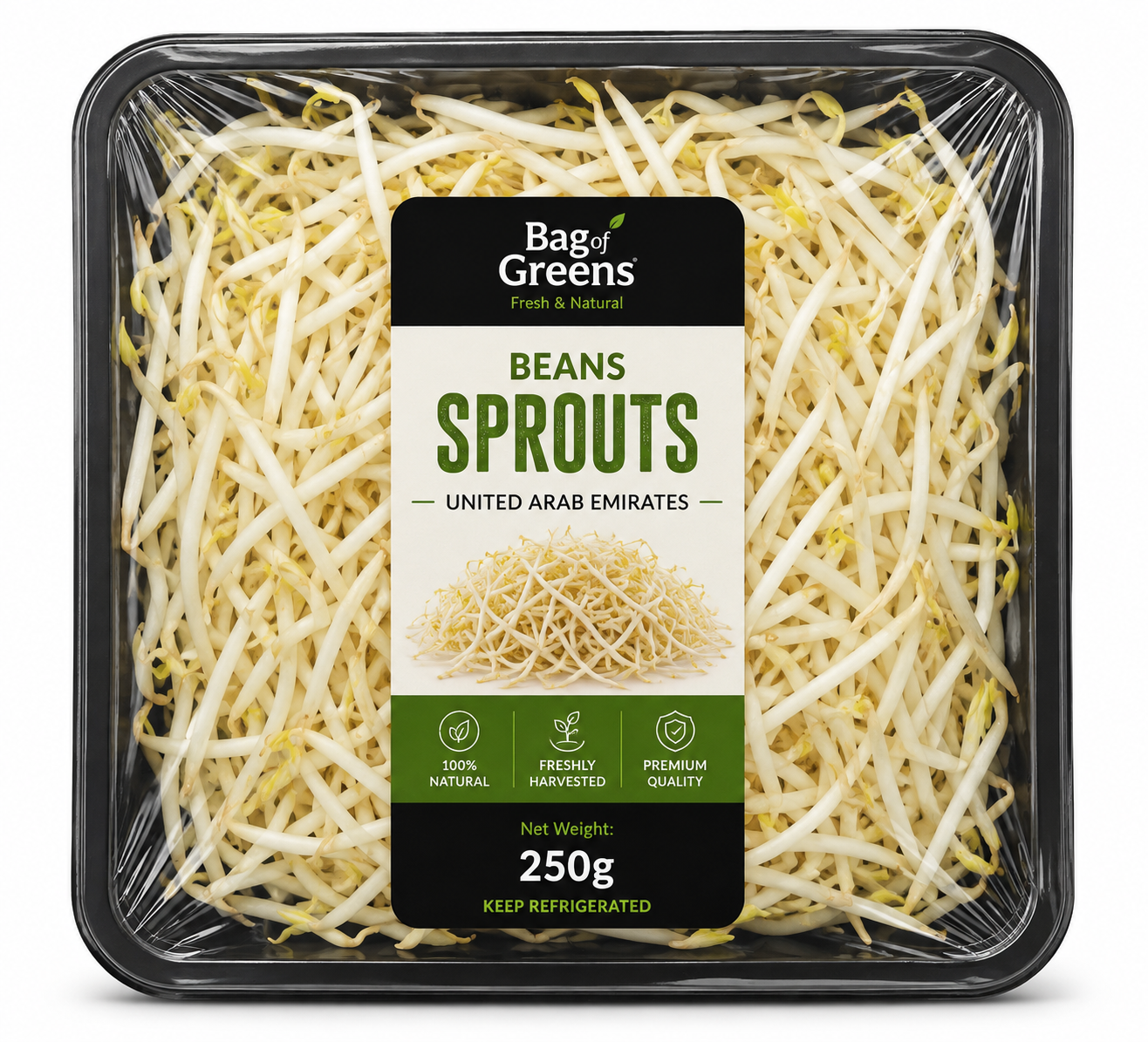 Beans Sprouts
