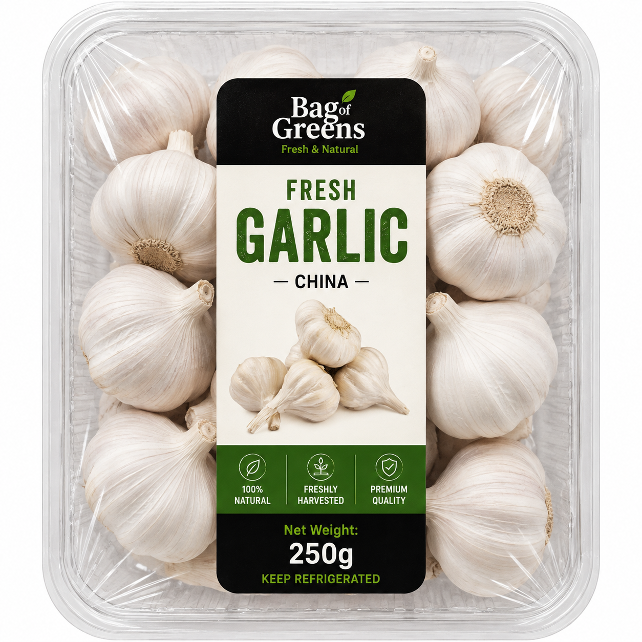Garlic