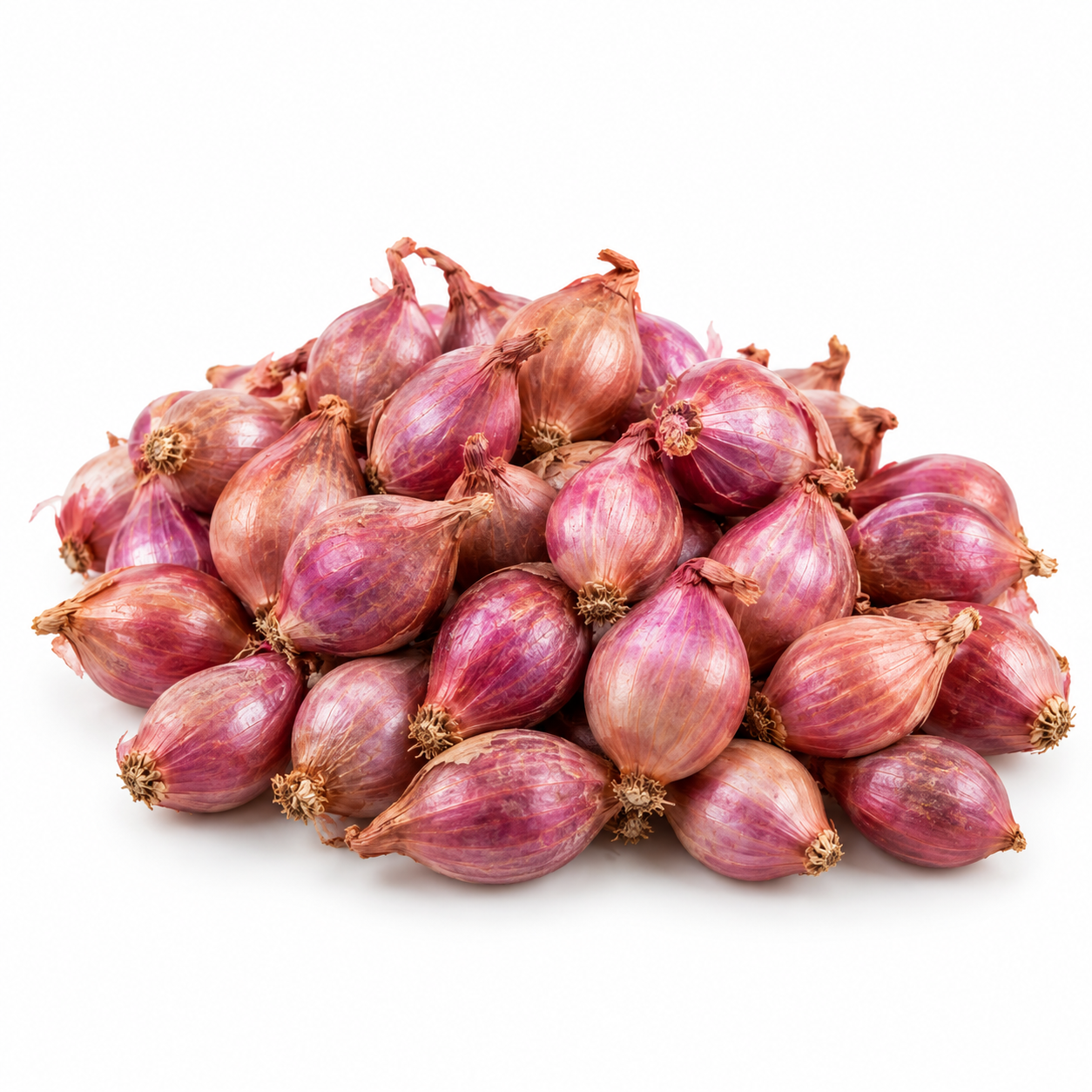 Onion Shallot Baby