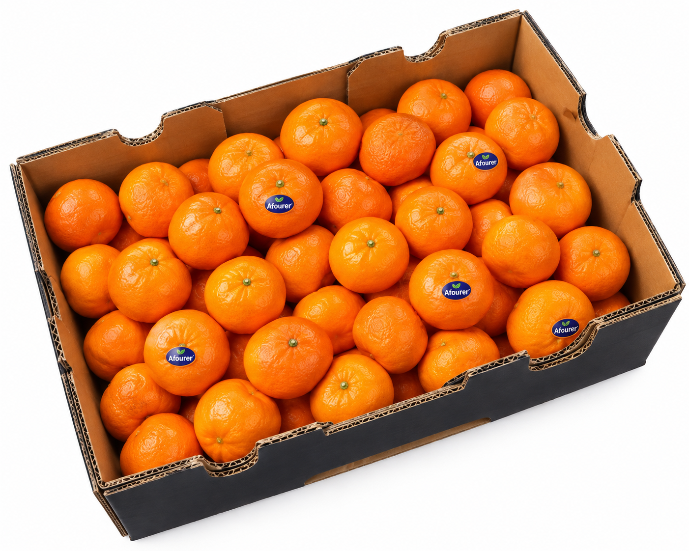 Afourer Mandarines